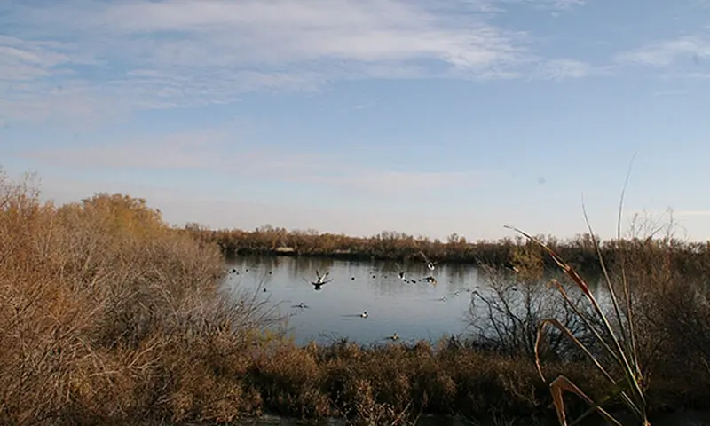 Reserva Ornitológica Los Charcones de Miguel Esteban (Toledo)