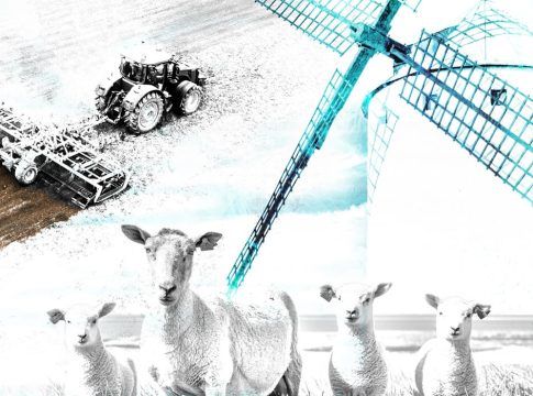 FERCAM, Feria Nacional del Campo