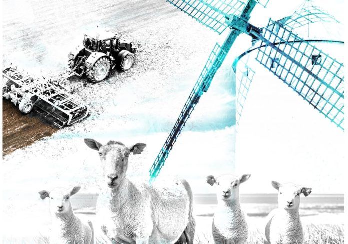 FERCAM Feria Nacional del Campo